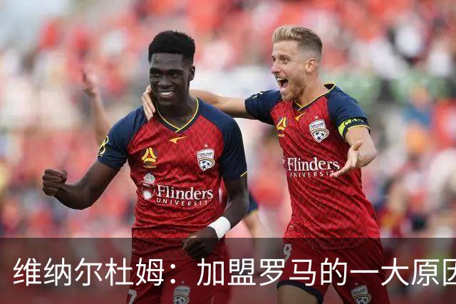 维纳尔杜姆：加盟罗马的一大原因是因为萨拉赫的推荐